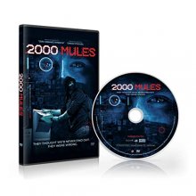 Cover art for 2000 Mules Documentary DVD by Dinesh D'Souza
