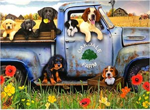 Cover art for Page Publications Collection - Dog Day Afternoon - Puzzle Games - Jigsaw Puzzles 1000 Pieces for Adults - Games for Adults, Teens and Kids