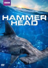 Cover art for Hammerhead (DVD)
