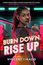 Cover art for Burn Down, Rise Up