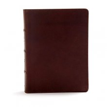 Cover art for CSB Study Bible, Brown Genuine Leather, Indexed, Red Letter, Study Notes and Commentary, Illustrations, Articles, Word Studies, Outlines, Timelines, Easy-to-Read Bible Serif Type