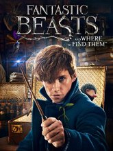 Cover art for Fantastic Beasts and Where to Find Them (DVD)