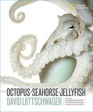 Cover art for Octopus, Seahorse, Jellyfish