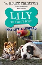 Cover art for Lily to the Rescue: Lost Little Leopard (Lily to the Rescue!, 5)