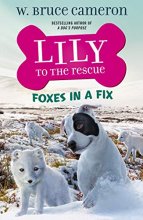 Cover art for Lily to the Rescue: Foxes in a Fix (Lily to the Rescue!, 7)
