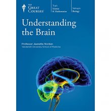 Cover art for Understanding the Brain