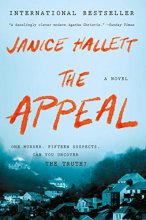 Cover art for The Appeal: A Novel
