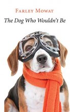 Cover art for The Dog Who Wouldn't Be