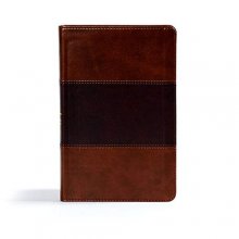 Cover art for CSB Ultrathin Reference Bible, Saddle Brown LeatherTouch