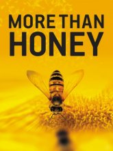 Cover art for More Than Honey