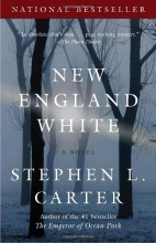 Cover art for New England White (Vintage Contemporaries)