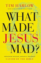 Cover art for What Made Jesus Mad?*: Rediscover the Blunt, Sarcastic, Passionate Savior of the Bible