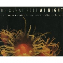 Cover art for The Coral Reef at Night