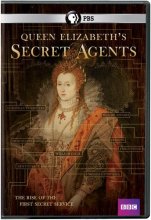 Cover art for Queen Elizabeth's Secret Agents: The Rise of the First Secret Service