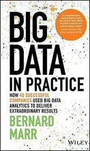 Cover art for Big Data in Practice: How 45 Successful Companies Used Big Data Analytics to Deliver Extraordinary Results