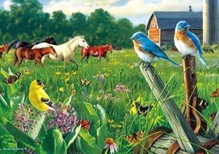 Cover art for Buffalo Games - Hautman Brothers - Country Meadow - 300 Large Piece Jigsaw Puzzle