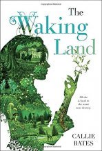 Cover art for The Waking Land