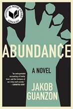 Cover art for Abundance: A Novel