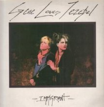 Cover art for Immigrant