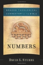 Cover art for Numbers (Brazos Theological Commentary on the Bible)