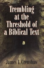 Cover art for Trembling at the Threshold of a Biblical Text