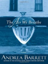 Cover art for The Air We Breathe: A Novel