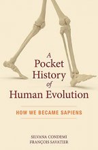 Cover art for A Pocket History of Human Evolution: How We Became Sapiens