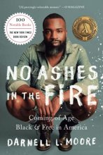 Cover art for No Ashes in the Fire: Coming of Age Black and Free in America