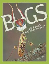 Cover art for Bugs Big & Small God Made Them All