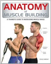Cover art for Anatomy of Muscle Building: A Trainer's Guide to Increasing Muscle Mass