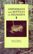 Cover art for Amphibians and Reptiles of Delmarva