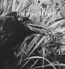 Cover art for Jim Dine: Birds
