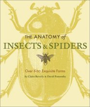 Cover art for The Anatomy of Insects & Spiders: Over 600 Exquisite Forms