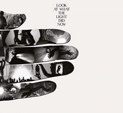 Cover art for Look at What the Light Did Now [DVD/CD]