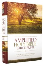 Cover art for Amplified Holy Bible, Large Print, Hardcover: Captures the Full Meaning Behind the Original Greek and Hebrew