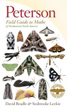 Cover art for Peterson Field Guide To Moths Of Northeastern North America (Peterson Field Guides)
