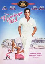 Cover art for The Flamingo Kid