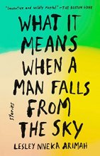 Cover art for What It Means When a Man Falls from the Sky: Stories