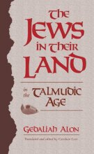Cover art for The Jews in Their Land in the Talmudic Age: 70–640 CE