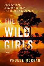 Cover art for The Wild Girls: A Novel