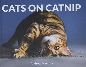 Cover art for Cats on Catnip