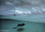 Cover art for Luz De Agua (Spanish Edition)