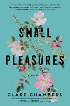 Cover art for Small Pleasures: A Novel