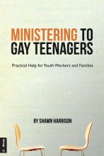 Cover art for Ministering to Gay Teenagers: Practical Help for Youth Workers and Families