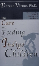 Cover art for The Care and Feeding of Indigo Children