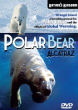 Cover art for Polar Bear Alcatraz