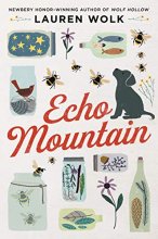 Cover art for Echo Mountain