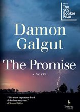 Cover art for The Promise: A Novel (Booker Prize Winner)