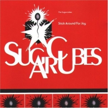 Cover art for Stick Around For Joy
