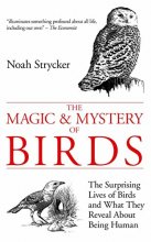 Cover art for The Magic & Mystery of Birds: The Surprising Lives of Birds and What They Reveal About Being Human